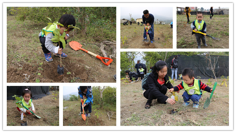 BBunion国际早教厦门世贸中心：植树节户外体验