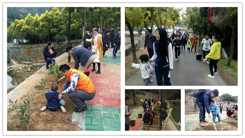 BBunion国际早教泉州中骏中心:我与小树齐成长 BBunion国际早教泉州中骏中心:我与小树齐成长